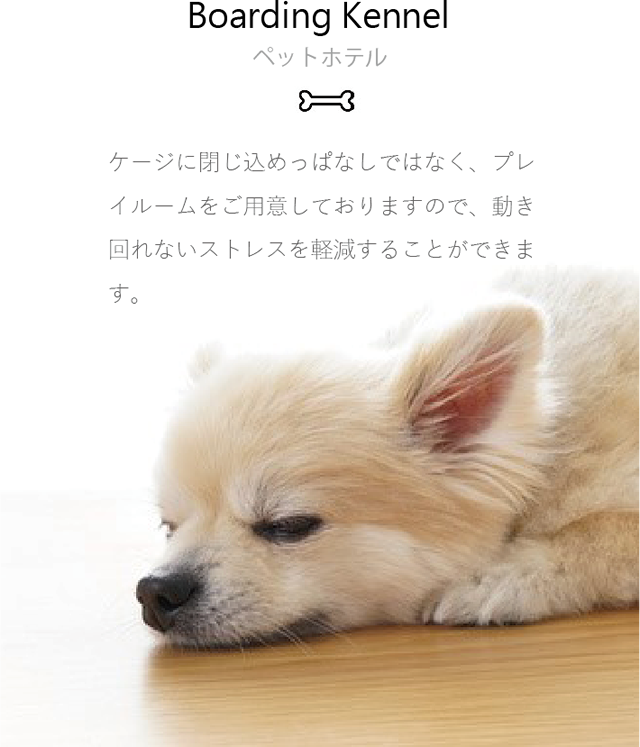 ケージに閉じ込めっぱなしではなく、プレイルームをご用意しておりますので、動き回れないストレスを軽減することができます。